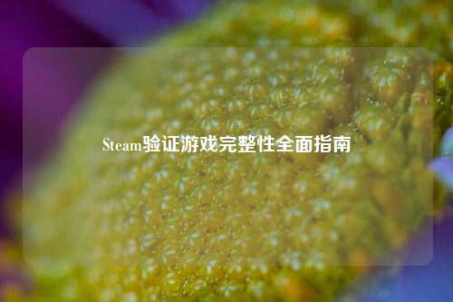 Steam验证游戏完整性全面指南