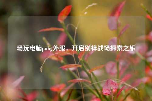 畅玩电脑pubg外服，开启别样战场探索之旅