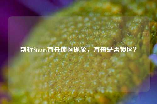 剖析Steam方舟锁区现象,方舟是否锁区?