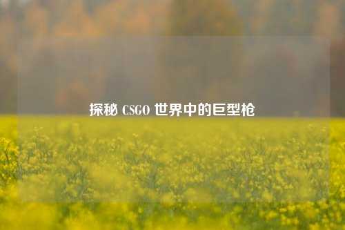 探秘 CSGO 世界中的巨型枪