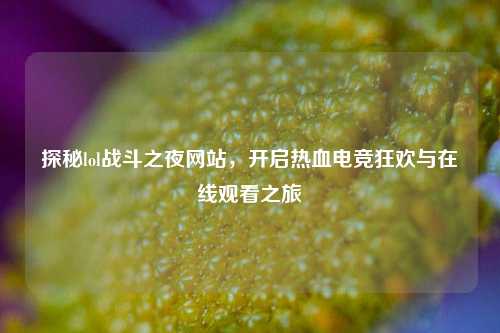 探秘lol战斗之夜网站，开启热血电竞狂欢与在线观看之旅