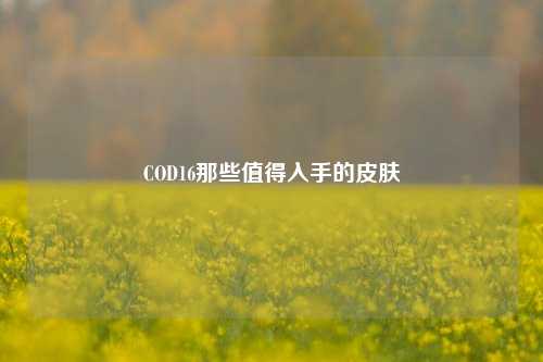 COD16那些值得入手的皮肤