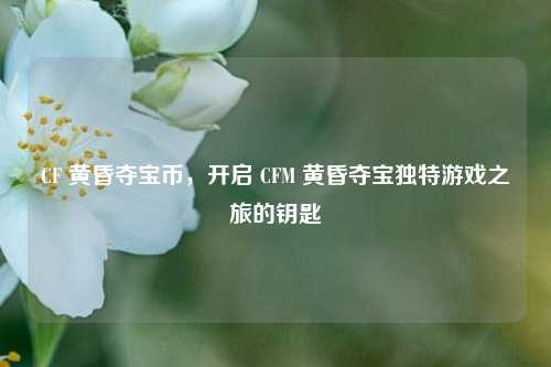 CF 黄昏夺宝币,开启 CFM 黄昏夺宝独特游戏之旅的钥匙