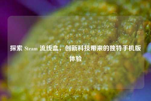 探索 Steam 流线盒,创新科技带来的独特手机版体验