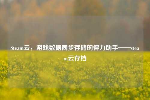 Steam云,游戏数据同步存储的得力助手——steam云存档
