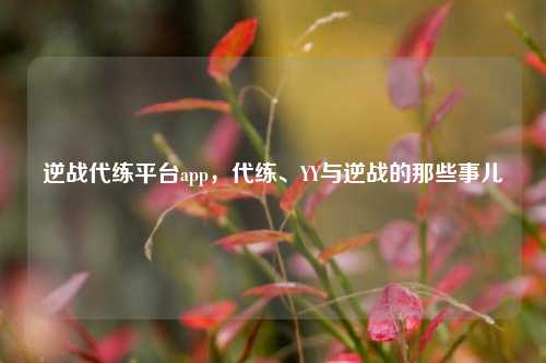 逆战代练平台app,代练、YY与逆战的那些事儿