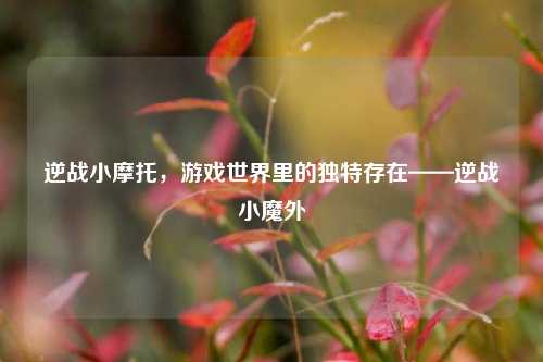 逆战小摩托，游戏世界里的独特存在——逆战小魔外