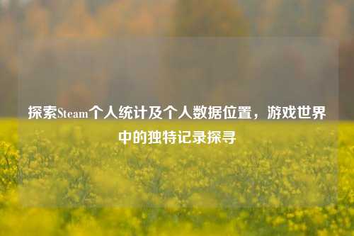 探索Steam个人统计及个人数据位置，游戏世界中的独特记录探寻