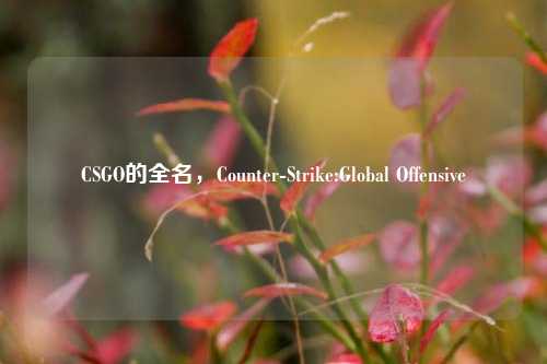 CSGO的全名,Counter-Strike:Global Offensive