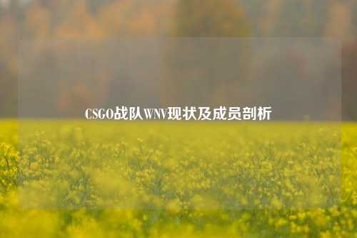 CSGO战队WNV现状及成员剖析