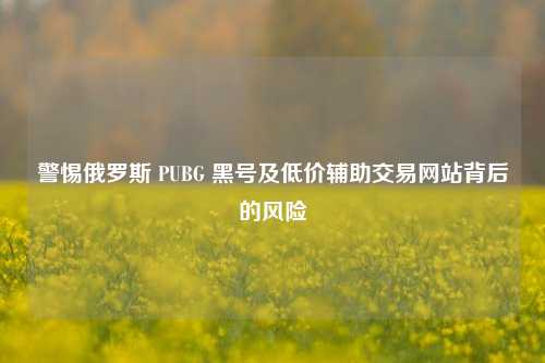 警惕俄罗斯 PUBG 黑号及低价辅助交易网站背后的风险