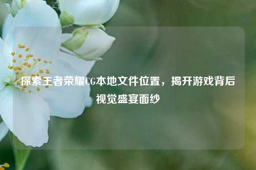 探索王者荣耀CG本地文件位置,揭开游戏背后视觉盛宴面纱