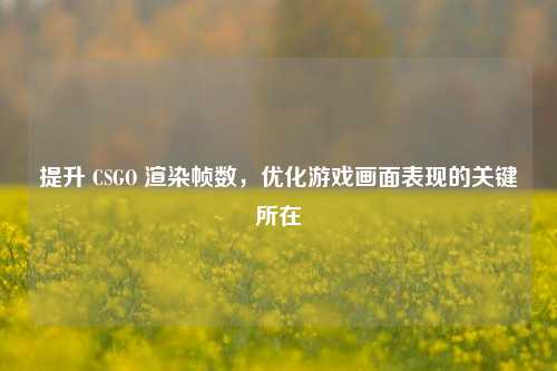 提升 CSGO 渲染帧数，优化游戏画面表现的关键所在