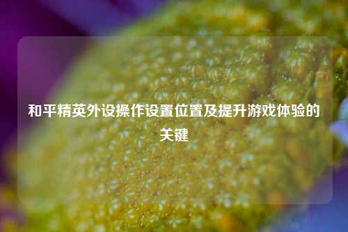 和平精英外设操作设置位置及提升游戏体验的关键
