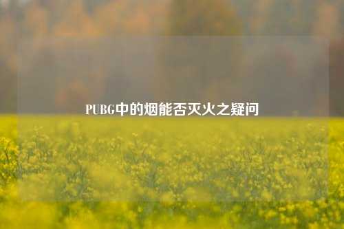 PUBG中的烟能否灭火之疑问