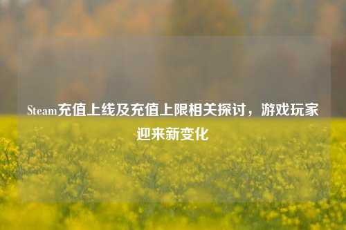 Steam充值上线及充值上限相关探讨，游戏玩家迎来新变化