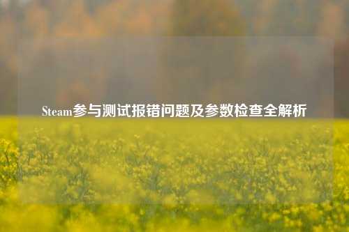 Steam参与测试报错问题及参数检查全解析