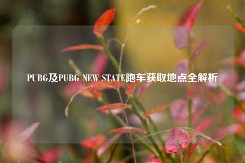 PUBG及PUBG NEW STATE跑车获取地点全解析