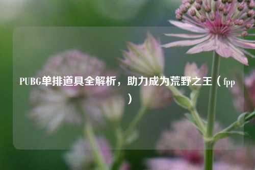 PUBG单排道具全解析,助力成为荒野之王(fpp)
