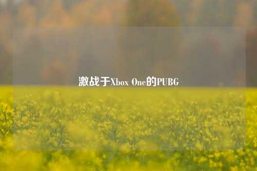 激战于Xbox One的PUBG
