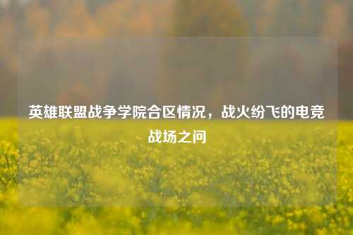 英雄联盟战争学院合区情况,战火纷飞的电竞战场之问