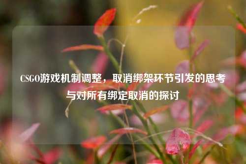 CSGO游戏机制调整,取消绑架环节引发的思考与对所有绑定取消的探讨