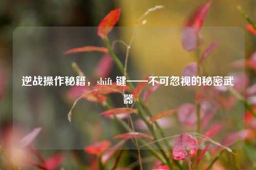 逆战操作秘籍,shift 键——不可忽视的秘密武器