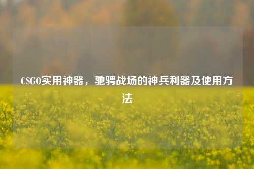 CSGO实用神器,驰骋战场的神兵利器及使用方法
