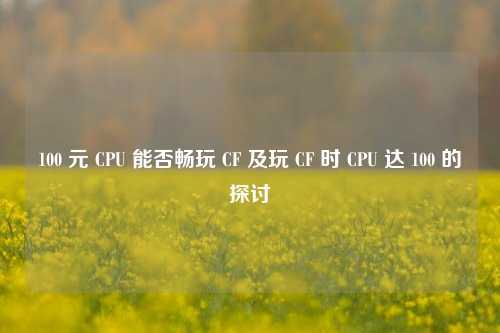 100 元 CPU 能否畅玩 CF 及玩 CF 时 CPU 达 100 的探讨