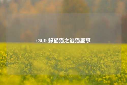 CSGO 躲猫猫之逃猫趣事