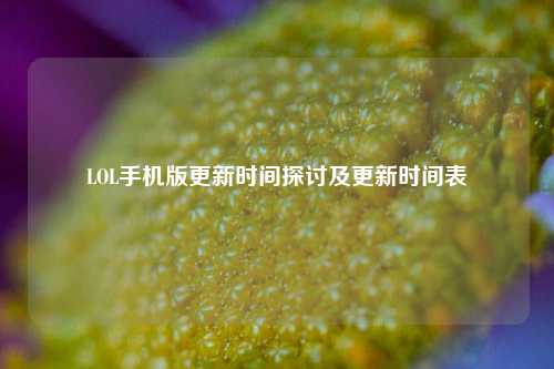 LOL手机版更新时间探讨及更新时间表