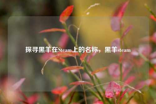 探寻黑羊在Steam上的名称,黑羊steam