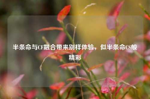 半条命与CF融合带来别样体验,似半条命CS般精彩