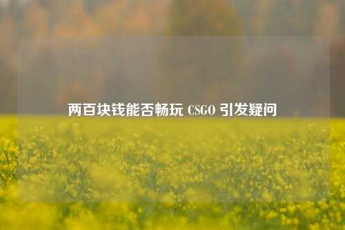 两百块钱能否畅玩 CSGO 引发疑问