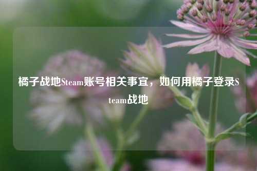 橘子战地Steam账号相关事宜,如何用橘子登录Steam战地