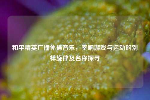 和平精英广播体操音乐，奏响游戏与运动的别样旋律及名称探寻