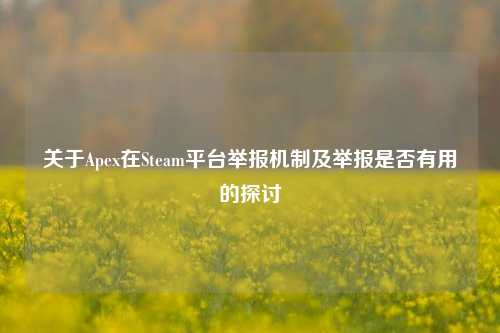 关于Apex在Steam平台举报机制及举报是否有用的探讨
