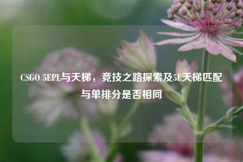 CSGO 5EPL与天梯,竞技之路探索及5E天梯匹配与单排分是否相同