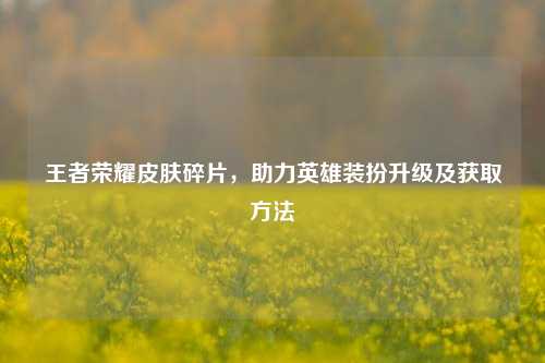 王者荣耀皮肤碎片，助力英雄装扮升级及获取方法