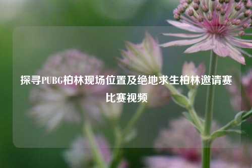 探寻PUBG柏林现场位置及绝地求生柏林邀请赛比赛视频