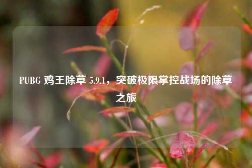 PUBG 鸡王除草 5.9.1，突破极限掌控战场的除草之旅