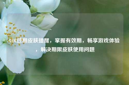 LOL过期皮肤提醒,掌握有效期,畅享游戏体验,解决期限皮肤使用问题