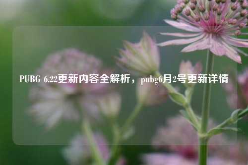 PUBG 6.22更新内容全解析，pubg6月2号更新详情