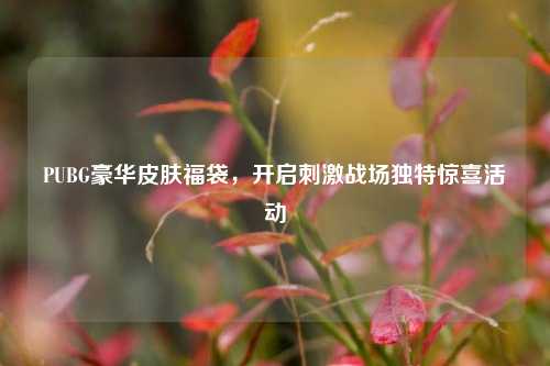 PUBG豪华皮肤福袋,开启刺激战场独特惊喜活动