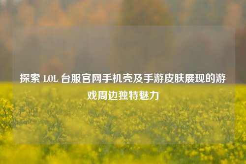 探索 LOL 台服官网手机壳及手游皮肤展现的游戏周边独特魅力
