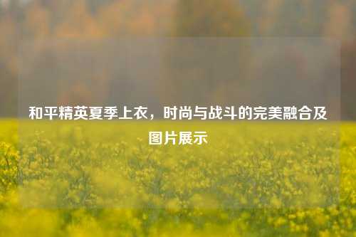 和平精英夏季上衣,时尚与战斗的完美融合及图片展示