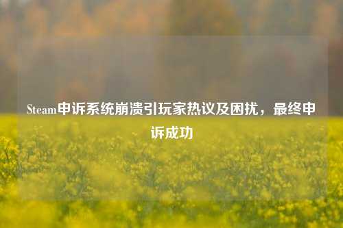 Steam申诉系统崩溃引玩家热议及困扰,最终申诉成功