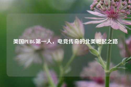 美国PUBG第一人,电竞传奇的北美崛起之路