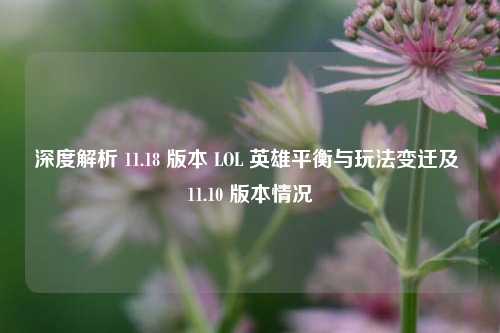 深度解析 11.18 版本 LOL 英雄平衡与玩法变迁及 11.10 版本情况