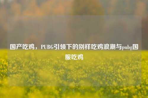 国产吃鸡,PUBG引领下的别样吃鸡浪潮与pubg国服吃鸡